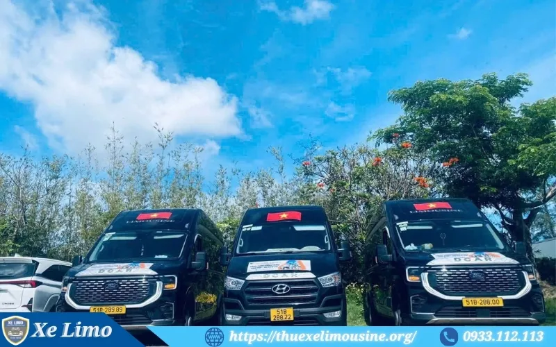 Định hướng và phát triển